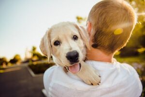 <strong>FAMILIA Y MASCOTA</strong>